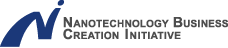 NANOTECHNOLOGY BUSINESS CREATION INITIATIVE